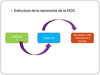  Estructura de la taxonomía de la NOC.

Dominios
7

Clases 29

Resultados 288.
Indicadores y
escalas.

 