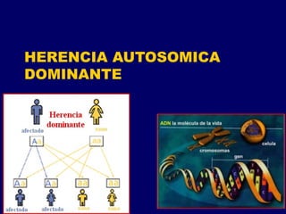 HERENCIA AUTOSOMICA
DOMINANTE
 