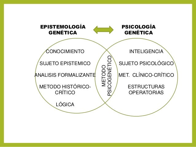 El Metodo Psicogenetico Y La Epistemologia Genetica