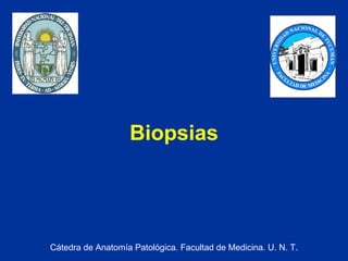 Biopsias Cátedra de Anatomía Patológica. Facultad de Medicina. U. N. T. 
