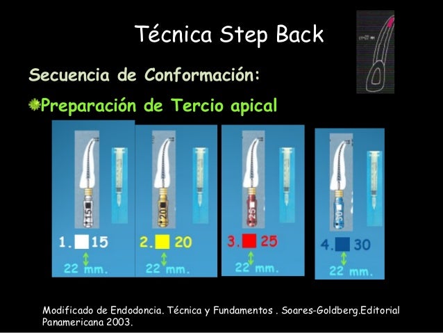 curso de actualizacon de Endodoncia completito