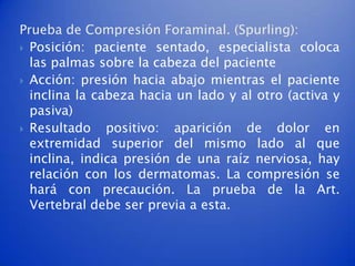 Prueba de Compresión Foraminal. (Spurling):
 Posición: paciente sentado, especialista coloca
  las palmas sobre la cabeza del paciente
 Acción: presión hacia abajo mientras el paciente
  inclina la cabeza hacia un lado y al otro (activa y
  pasiva)
 Resultado    positivo: aparición de dolor en
  extremidad superior del mismo lado al que
  inclina, indica presión de una raíz nerviosa, hay
  relación con los dermatomas. La compresión se
  hará con precaución. La prueba de la Art.
  Vertebral debe ser previa a esta.
 
