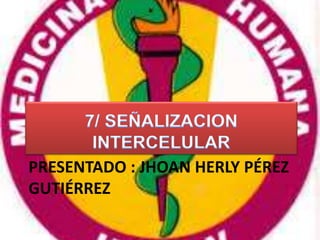 PRESENTADO : JHOAN HERLY PÉREZ
GUTIÉRREZ
 