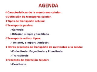 Características de la membrana celular.
Definición de transporte celular.
Tipos de transporte celular:
Transporte pasivo:
   Ósmosis,
   Difusión simple y facilitada
Transporte activo: tipos.
    Uniport, Simport, Antiport.
 Otros procesos de transporte de nutrientes a la célula:
   Endocitosis: Fagocitosis y Pinocitosis
   Transcitosis
Procesos de excreción celular:
   Exocitosis.
 