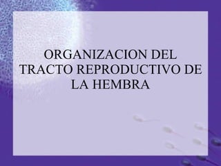 ORGANIZACION DEL TRACTO REPRODUCTIVO DE LA HEMBRA 