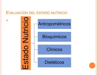 EVALUACIÓN DEL ESTADO NUTRICIO

EstadoNutricio Antropométricos
Bioquímicos
Clínicos
Dietéticos
 