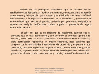 Dentro de las principales actividades que se realizan en los
establecimientos dedicados al sacrificio de animales, se encuentran la inspección
ante-mortem y la inspección post-mortem y es ahí donde interviene la DGIAAP,
contribuyendo a la vigilancia y monitoreo de la incidencia y prevalencia de
enfermedades que afectan al ganado, teniendo por igual como obligación el
reporte de cualquier lesión que pudiera sugerir la presencia de alguna
enfermedad exótica.

           El sello TIF, que es un sinónimo de excelencia, significa que el
 producto que se está adquiriendo y consumiendo es auténtica garantía de
 calidad y salud. Para las marcas productoras y comercializadoras de cárnicos,
 dicha certificación representa un orgullo obtenerlo, pues confirma que
 cumplen con la normatividad internacional de procesado y empaque en sus
 productos, todo esto representa un gran esfuerzo que se traduce en grandes
 beneficios, cuyo resultado son la reducción de microorganismos indeseables,
 garantía en ofrecer productos excelentes y, con ello, protección al consumidor.




                        Material Preparado por MAM Luz Angélica
                         Material Preparado             Luz Angélica
                        Padilla López / Licenciatura en Gastronomía    21          21
                        UAS / Febrero 2012Marzo 2012
                                     UAS /
 
