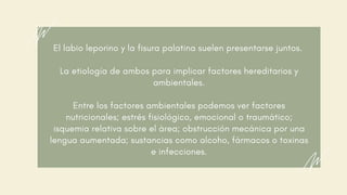 El labio leporino y la fisura palatina suelen presentarse juntos. 
La etiología de ambos para implicar factores hereditarios y
ambientales.
Entre los factores ambientales podemos ver factores
nutricionales; estrés fisiológico, emocional o traumático;
isquemia relativa sobre el área; obstrucción mecánica por una
lengua aumentada; sustancias como alcoho, fármacos o toxinas
e infecciones.
 