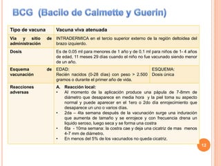 Tipo de vacuna Vacuna viva atenuada
Vía y sitio de
administración
INTRADERMICA en el tercio superior externo de la región deltoidea del
brazo izquierdo.
Dosis Es de 0.05 ml para menores de 1 año y de 0.1 ml para niños de 1- 4 años
de edad, 11 meses 29 días cuando el niño no fue vacunado siendo menor
de un año.
Esquema de
vacunación
EDAD:
Recién nacidos (0-28 días) con peso > 2.500
gramos o durante el primer año de vida.
ESQUEMA:
Dosis única
Reacciones
adversas
A. Reacción local:
• Al momento de la aplicación produce una pápula de 7-8mm de
diámetro que desaparece en media hora y la piel toma su aspecto
normal y puede aparecer en el 1ero o 2do día enrojecimiento que
desaparece un uno o varios días.
• 2da – 4ta semana después de la vacunación surge una induración
que aumenta de tamaño y se enrojece y con frecuencia drena un
liquido seroso, luego seca y se forma una costra
• 6ta - 10ma semana: la costra cae y deja una cicatriz de mas menos
4-7 mm de diámetro.
• En menos del 5% de los vacunados no queda cicatriz.
12
 