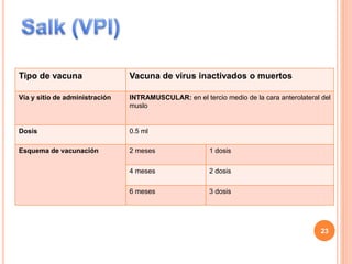 Tipo de vacuna Vacuna de virus inactivados o muertos
Vía y sitio de administración INTRAMUSCULAR: en el tercio medio de la cara anterolateral del
muslo
Dosis 0.5 ml
Esquema de vacunación 2 meses 1 dosis
4 meses 2 dosis
6 meses 3 dosis
23
 