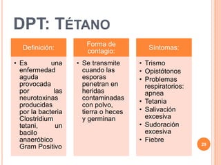 DPT: TÉTANO
Definición:
• Es una
enfermedad
aguda
provocada
por las
neurotoxinas
producidas
por la bacteria
Clostridium
tetani, un
bacilo
anaeróbico
Gram Positivo
Forma de
contagio:
• Se transmite
cuando las
esporas
penetran en
heridas
contaminadas
con polvo,
tierra o heces
y germinan
Síntomas:
• Trismo
• Opistótonos
• Problemas
respiratorios:
apnea
• Tetania
• Salivación
excesiva
• Sudoración
excesiva
• Fiebre
29
 