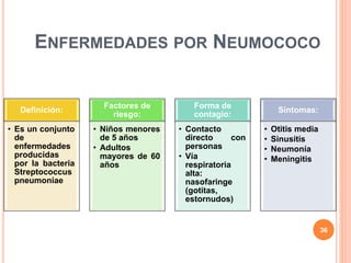 ENFERMEDADES POR NEUMOCOCO
Definición:
• Es un conjunto
de
enfermedades
producidas
por la bacteria
Streptococcus
pneumoniae
Factores de
riesgo:
• Niños menores
de 5 años
• Adultos
mayores de 60
años
Forma de
contagio:
• Contacto
directo con
personas
• Vía
respiratoria
alta:
nasofaringe
(gotitas,
estornudos)
Síntomas:
• Otitis media
• Sinusitis
• Neumonía
• Meningitis
36
 