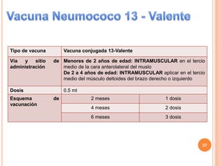 Tipo de vacuna Vacuna conjugada 13-Valente
Vía y sitio de
administración
Menores de 2 años de edad: INTRAMUSCULAR en el tercio
medio de la cara anterolateral del muslo
De 2 a 4 años de edad: INTRAMUSCULAR aplicar en el tercio
medio del músculo deltoides del brazo derecho o izquierdo
Dosis 0.5 ml
Esquema de
vacunación
2 meses 1 dosis
4 meses 2 dosis
6 meses 3 dosis
37
 