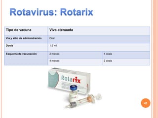 Tipo de vacuna Viva atenuada
Vía y sitio de administración Oral
Dosis 1.5 ml
Esquema de vacunación 2 meses 1 dosis
4 meses 2 dosis
41
 