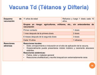 Esquema de
vacunación
11 años de edad Refuerzo y luego 1 dosis cada 10
años.
Grupos en riesgo: agricultores, militares, etc., sin antecedentes de
vacunación
Primer contacto 1 dosis
1 mes después de la primera dosis 2 dosis
6 meses después de la segunda dosis 3 dosis
Cada 10 años 1 refuerzo
Reacciones
adversas
Reacciones locales:
• Dolor, enrojecimiento e induración en el sitio de aplicación de la vacuna.
• Ocasionalmente puede presentarse nódulo indoloro y raramente abscesos
estériles.
Reacciones sistémicas:
• Fiebre, dolor y malestar general
• Reacciones anafilácticas y neuritis braquial son extremadamente raras
58
 