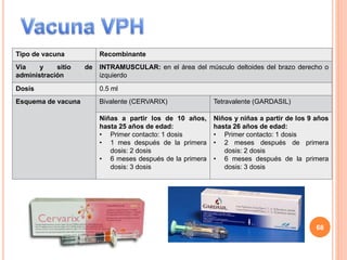 Tipo de vacuna Recombinante
Vía y sitio de
administración
INTRAMUSCULAR: en el área del músculo deltoides del brazo derecho o
izquierdo
Dosis 0.5 ml
Esquema de vacuna Bivalente (CERVARIX) Tetravalente (GARDASIL)
Niñas a partir los de 10 años,
hasta 25 años de edad:
• Primer contacto: 1 dosis
• 1 mes después de la primera
dosis: 2 dosis
• 6 meses después de la primera
dosis: 3 dosis
Niños y niñas a partir de los 9 años
hasta 26 años de edad:
• Primer contacto: 1 dosis
• 2 meses después de primera
dosis: 2 dosis
• 6 meses después de la primera
dosis: 3 dosis
68
 