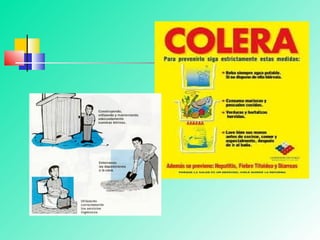Clase vibrio cholerae2012