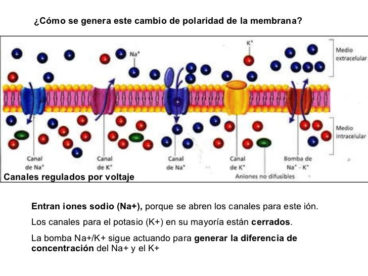 Imagen relacionada
