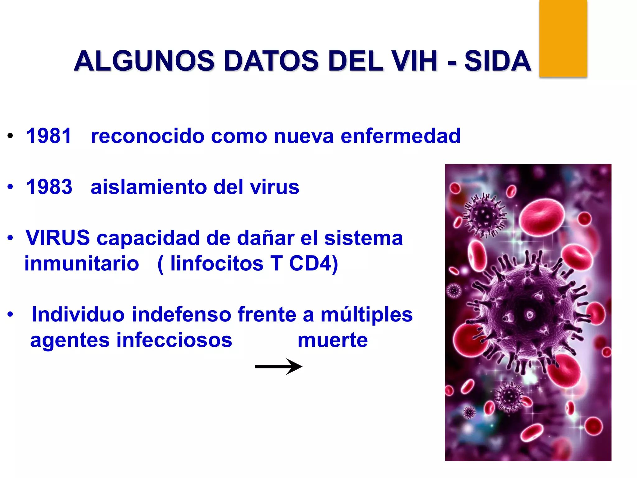 ALGUNOS DATOS DEL VIH - SIDA
• 1981 reconocido como nueva enfermedad
• 1983 aislamiento del virus
• VIRUS capacidad de dañar el sistema
inmunitario ( linfocitos T CD4)
• Individuo indefenso frente a múltiples
agentes infecciosos muerte
 