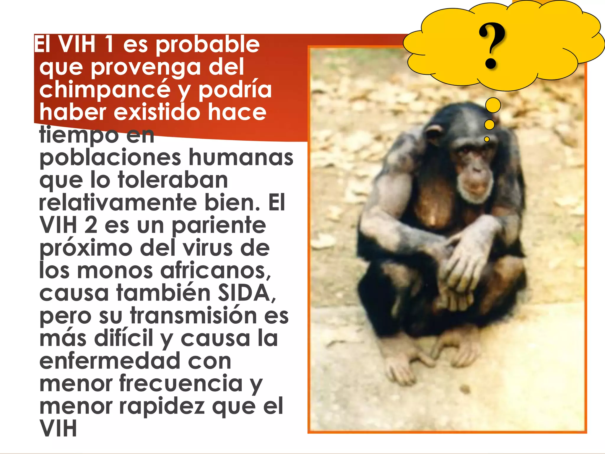 El VIH 1 es probable
que provenga del
chimpancé y podría
haber existido hace
tiempo en
poblaciones humanas
que lo toleraban
relativamente bien. El
VIH 2 es un pariente
próximo del virus de
los monos africanos,
causa también SIDA,
pero su transmisión es
más difícil y causa la
enfermedad con
menor frecuencia y
menor rapidez que el
VIH
?
 