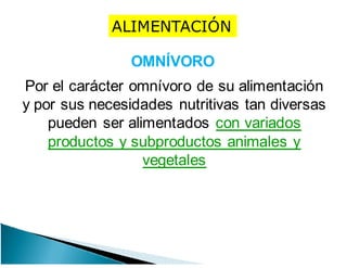 OMNÍVORO
Por el carácter omnívoro de su alimentación
y por sus necesidades nutritivas tan diversas
pueden ser alimentados con variados
productos y subproductos animales y
vegetales
ALIMENTACIÓN
 