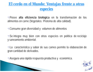 Posee alta eficiencia biológica en la transformación de los
alimentos en carne (Vegetales: Proteína de alta calidad).
Consume gran diversidad y volumen de alimentos
Se integra muy bien con otras especies en política de reciclaje
y saneamiento ambiental.
La característica y sabor de sus carnes permite la elaboración de
gran cantidad de derivados.
Asegura una rápida respuesta productiva y económica.
El cerdo en el Mundo: Ventajas frente a otras
especies
 