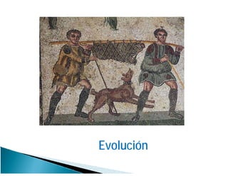 Evolución
 