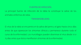 FUENTES DE INFECCIÓN.
La principal fuente de infección de la rabia la constituye la saliva de los
animales enfermos de rabia.
TRANSMISIBILIDAD.
El virus de la rabia se encuentra en la saliva del perro y el gato hasta cinco días
antes de que aparezcan los síntomas clínicos y permanece durante todo el
curso de la enfermedad. Los murciélagos pueden diseminar el virus desde 10 a
15 días antes que éstos manifiesten síntomas de la enfermedad.
 
