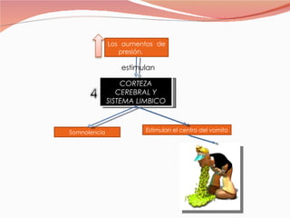 CORTEZA CEREBRAL Y SISTEMA LIMBICO Los aumentos de presión. estimulan Somnolencia Estimulan el centro del vomito 