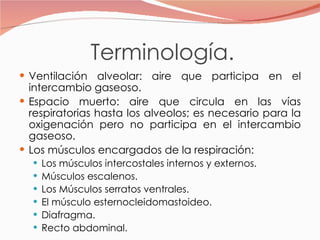Terminología. Ventilación alveolar: aire que participa en el intercambio gaseoso. Espacio muerto: aire que circula en las vías respiratorias hasta los alveolos; es necesario para la oxigenación pero no participa en el intercambio gaseoso. Los músculos encargados de la respiración: Los músculos intercostales internos y externos. Músculos escalenos. Los Músculos serratos ventrales. El músculo esternocleidomastoideo. Diafragma. Recto abdominal. 