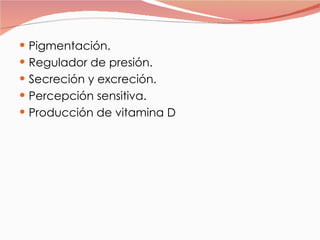 Pigmentación. Regulador de presión. Secreción y excreción. Percepción sensitiva. Producción de vitamina D 