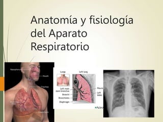 Anatomía y fisiología
del Aparato
Respiratorio
 
