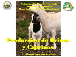 Producción de Ovinos
y Caprinos
Universidad Central de Venezuela
Facultad de Agronomía
Departamento de Producción Animal
Profesora Leyla Ríos de Álvarez
 