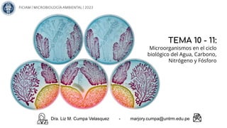 TEMA 10 - 11:
Microorganismos en el ciclo
biológico del Agua, Carbono,
Nitrógeno y Fósforo
Dra. Liz M. Cumpa Velasquez - marjory.cumpa@untrm.edu.pe
FICIAM | MICROBIOLOGÍA AMBIENTAL
FICIAM | MICROBIOLOGÍA AMBIENTAL | 2023
 