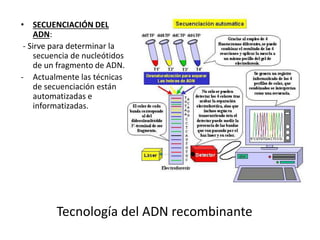 Clase x bloque iv epigenetica, genoma y tecnologia del adn 2015