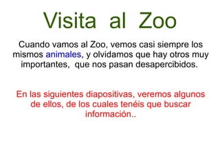 Visita  al  Zoo Cuando vamos al Zoo, vemos casi siempre los mismos  animales , y olvidamos que hay otros muy importantes,  que nos pasan desapercibidos.  En las siguientes diapositivas, veremos algunos de ellos, de los cuales tenéis que buscar información.. 