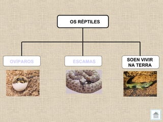 OS RÉPTILES




OVÍPAROS    ESCAMAS      SOEN VIVIR
                         NA TERRA
 