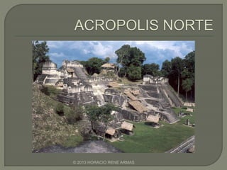 © 2013 HORACIO RENE ARMAS
 