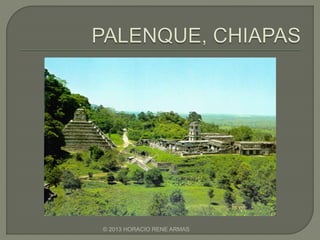 © 2013 HORACIO RENE ARMAS
 