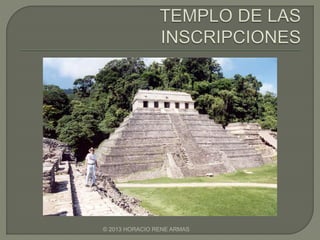 © 2013 HORACIO RENE ARMAS
 