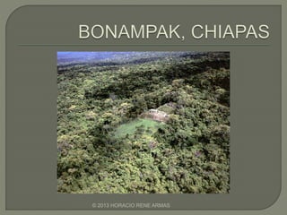 © 2013 HORACIO RENE ARMAS
 