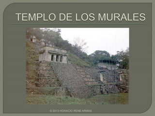 © 2013 HORACIO RENE ARMAS
 