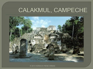 © 2013 HORACIO RENE ARMAS
 