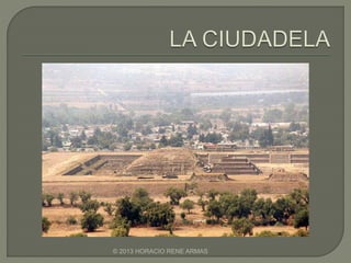 © 2013 HORACIO RENE ARMAS
 