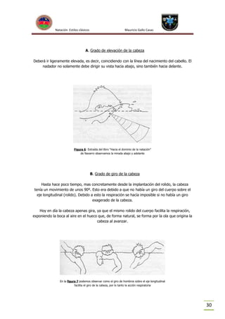 Natación Estilos clásicos

Mauricio Gallo Casas

A. Grado de elevación de la cabeza
Deberá ir ligeramente elevada, es decir, coincidiendo con la línea del nacimiento del cabello. El
nadador no solamente debe dirigir su vista hacia abajo, sino también hacia delante.

Figura 6: Extraída del libro “Hacia el dominio de la natación”
de Navarro observamos la mirada abajo y adelante

B. Grado de giro de la cabeza
Hasta hace poco tiempo, mas concretamente desde la implantación del rolido, la cabeza
tenía un movimiento de unos 90º. Esto era debido a que no había un giro del cuerpo sobre el
eje longitudinal (rolido). Debido a esto la respiración se hacía imposible si no había un giro
exagerado de la cabeza.
Hoy en día la cabeza apenas gira, ya que el mismo rolido del cuerpo facilita la respiración,
exponiendo la boca al aire en el hueco que, de forma natural, se forma por la ola que origina la
cabeza al avanzar.

En la figura 7 podemos observar como el giro de hombros sobre el eje longitudinal
facilita el giro de la cabeza, por lo tanto la acción respiratoria

30

 