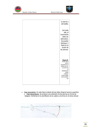 Natación Estilos clásicos

Mauricio Gallo Casas

la pierna y
del tobillo.

Con todo
ello, el
movimiento
debe ser
alternativo.
Se pueden
distinguir 2
fases en la
acción de
las piernas:

Figura 19:
Acción de la
pierna
izquierda en el
batido de crol.
La acción se
va
desplazando
desde
caderasmuslo-rodillapierna-tobillopie



Fase ascendente: En esta fase la planta del pie debe dirigirse hacia la superficie
 Fase descendente: Se produce una extensión de las piernas en forma de
latigazo. Comienza en la semiflexion de la cadera y termina en el dorso del pie

39

 