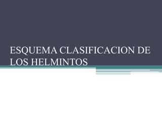 ESQUEMA CLASIFICACION DE
LOS HELMINTOS
 