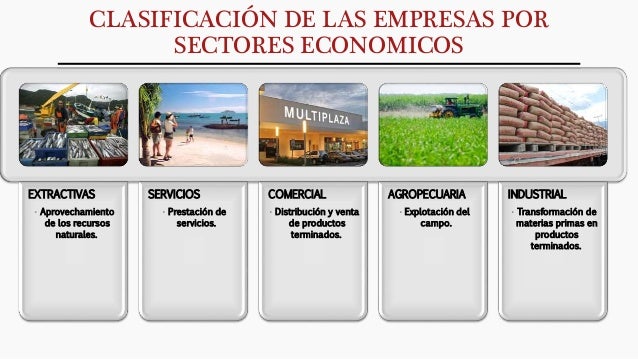 Clasifiacion de empresas 1