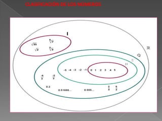 CLASIFICACIÓN DE LOS NÚMEROS 