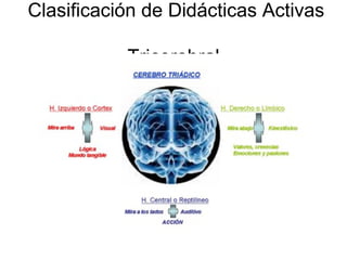 Clasificación de Didácticas Activas

           Tricerebral
 